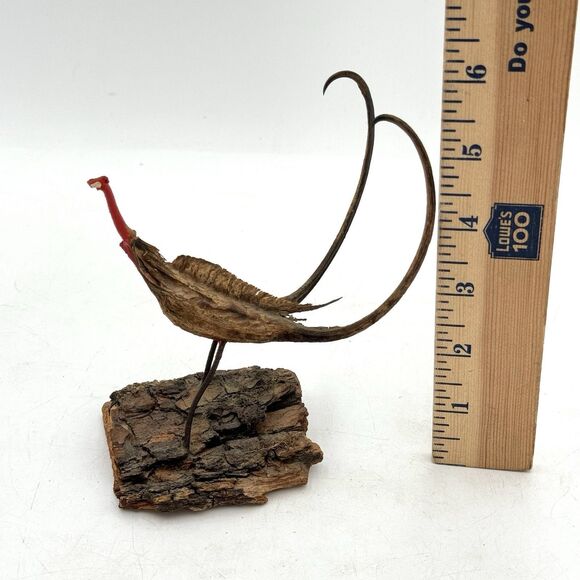 Vintage Devil's Claw Seed Pod Bird Sculpture Mounted on Driftwood Bark - Picture 11 of 13